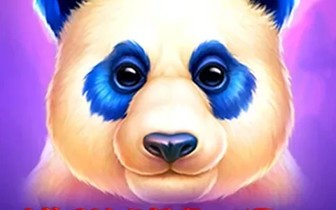 Luck of Panda Bonus Combo — Netgame